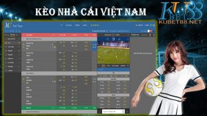 Soi kèo là chuỗi công việc tìm dữ liệu lịch sử các trận đấu