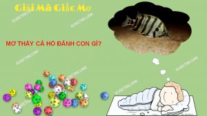 Giấc mơ thấy cá hổ cho thấy bạn là một người yêu thích sự tự do và thoải mái