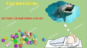 Mơ thấy cá mập đa phần mọi người sẽ cảm thấy sợ hãi