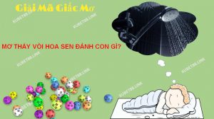 Ý nghĩa giấc mơ thấy vòi hoa sen là gì?