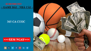 365 ca cuoc - Trang tổng hợp link nhà cái siêu hot 2022